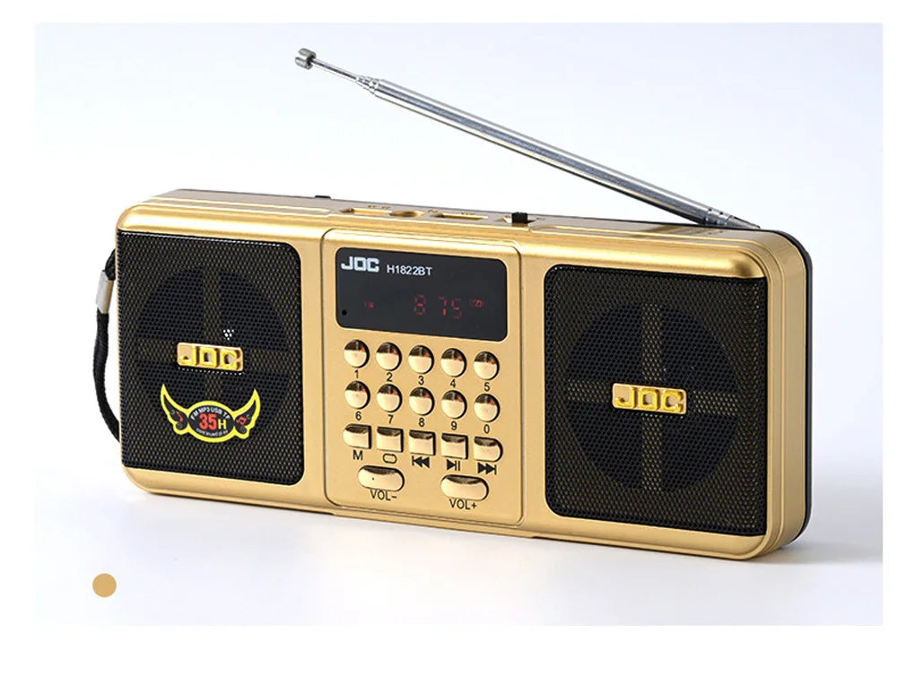 Portable FM Radio Rechargeable Battery Wireless Speaker Support TF USB MP3