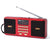 Portable FM Radio Rechargeable Battery Wireless Speaker Support TF USB MP3