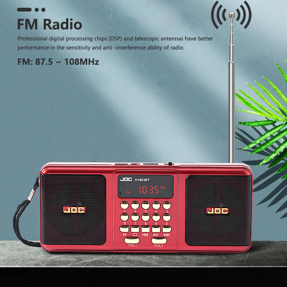 Portable FM Radio Rechargeable Battery Wireless Speaker Support TF USB MP3
