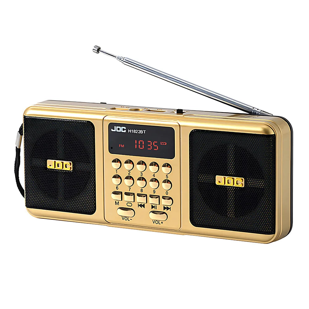 Portable FM Radio Rechargeable Battery Wireless Speaker Support TF USB MP3